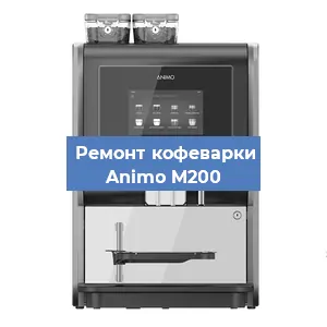 Чистка кофемашины Animo M200 от накипи в Воронеже